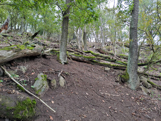 Ústí nad Labem, 7.10.2024
Střekov, Vysoký Ostrý.
Klíčová slova: Ústí nad Labem Střekov Vysoký Ostrý