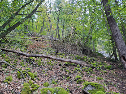 Ústí nad Labem, 7.10.2024
Klíčová slova: Ústí nad Labem Střekov Malý Ostrý