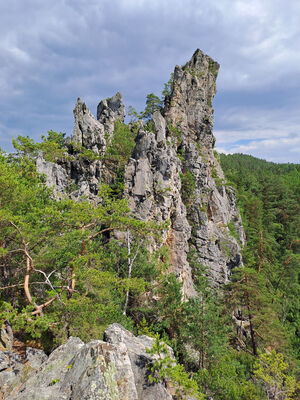 Koberovy, Besedice, 12.6.2024
Suché skály.
Klíčová slova: Koberovy Besedice Suché skály