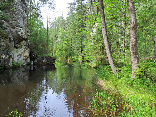 Adršpach, 18.6.2024
Adršpašské jezírko.
Klíčová slova: Adršpach Adršpašsko-teplické skály Vlčí rokle Adršpašské jezírko Sericus subaeneus