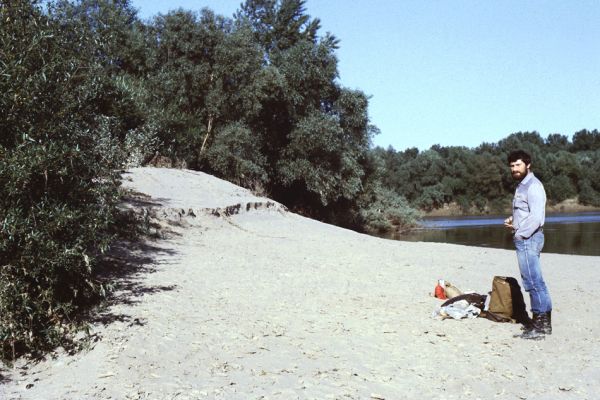Malé Trakany - řeka Tisa, 23.5.1989
Kolega Jaroslav Jelínek na písčité duně v korytě Tisy. Typová lokalita kovaříka Cidnopus platiai, jenž zde byl v tento den objeven pro vědu.
Keywords: Malé Trakany Tisa Cidnopus platiai