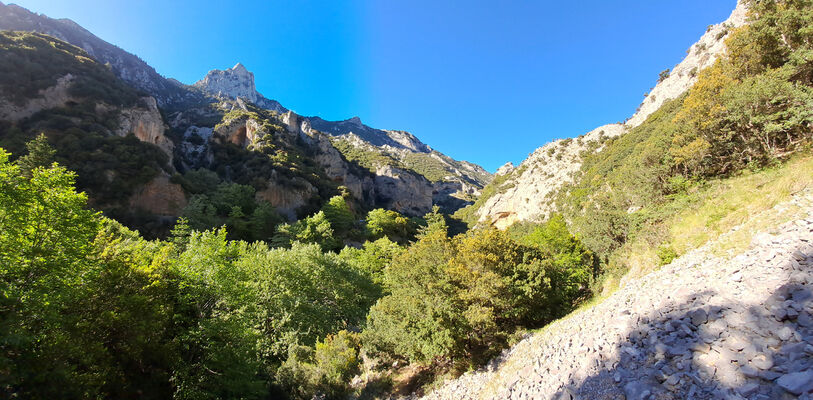 Trypi , 3.5.2024
Langada canyon.
Klíčová slova: Pelopennese Laconia Taygetos Mts. Trypi Langada canyon Anostirus jarmilae