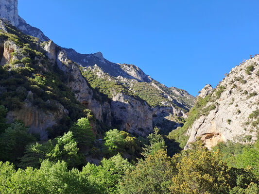 Klíčová slova: Peloponnese, Messenia, Taygetos Mts., Artemisia, Langada pass