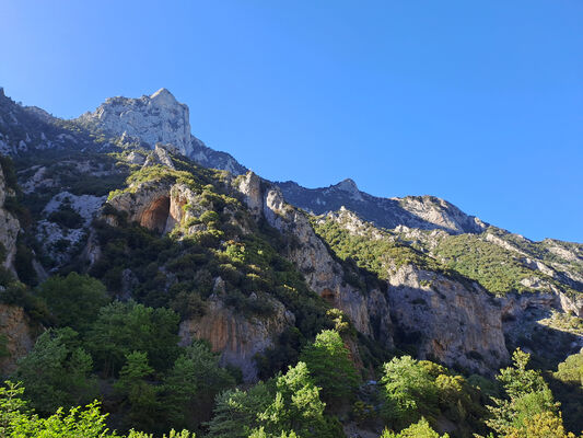 Klíčová slova: Peloponnese, Messenia, Taygetos Mts., Artemisia, Langada pass