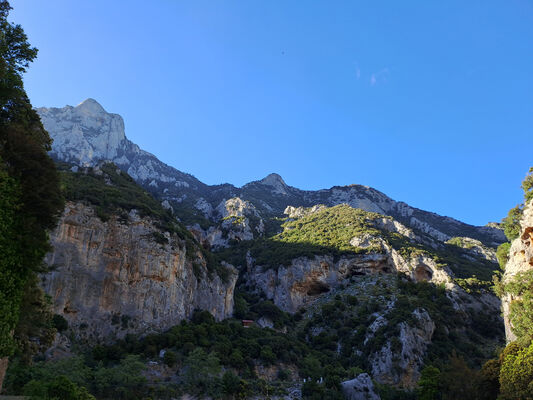 Klíčová slova: Peloponnese, Messenia, Taygetos Mts., Artemisia, Langada pass