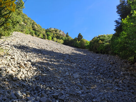 Mots-clés: Peloponnese, Messenia, Taygetos Mts., Artemisia, Langada pass