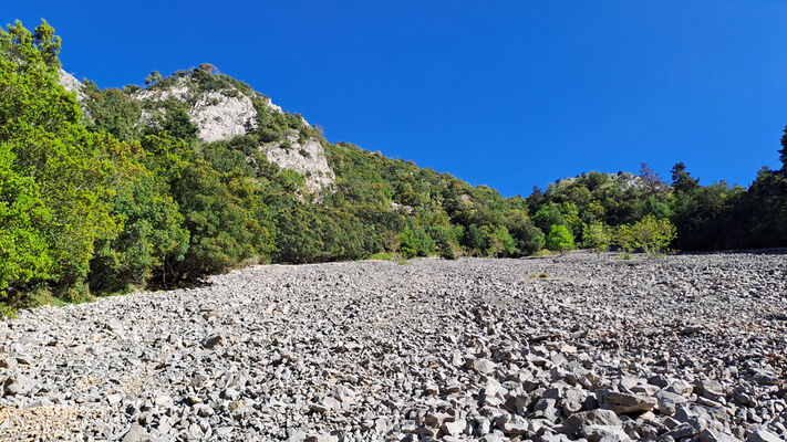 Klíčová slova: Peloponnese, Messenia, Taygetos Mts., Artemisia, Langada pass