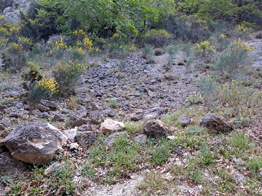 Klíčová slova: Peloponnese, Messenia, Taygetos Mts., Artemisia, Langada pass