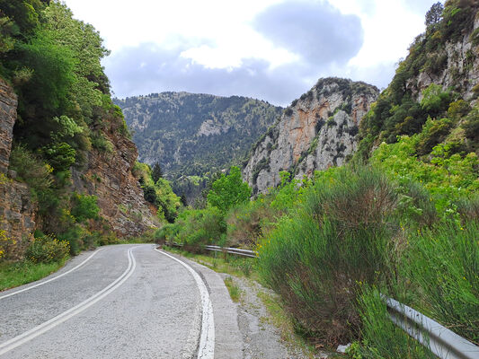 Klíčová slova: Peloponnese, Messenia, Taygetos Mts., Artemisia, Langada pass