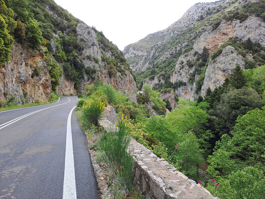 Klíčová slova: Peloponnese, Messenia, Taygetos Mts., Artemisia, Langada pass