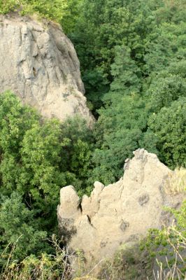 Podhradí - Veliš, 15.8.2007
Pohled z vrcholu na zerodovaný masiv sopouchu.
Klíčová slova: Jičín Podhradí Veliš