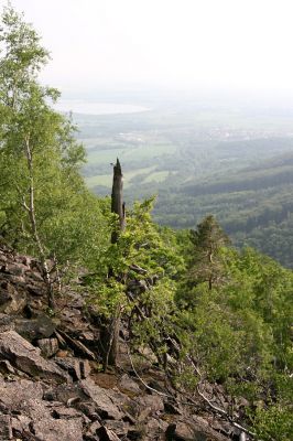 Horní Jiřetín, Jezeří, Jezerka, 9.5.2009
Suťový les na jihozápadním svahu.
Klíčová slova: Vysoká Pec Jezerka