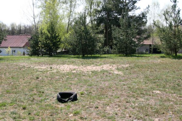 Bohumileč, Zástava, 21.4.2011
Zachovalá písčina s kostřavami v centru obc - víceúčelový zábavní areál.
Keywords: Rokytno Bohumileč Zástava