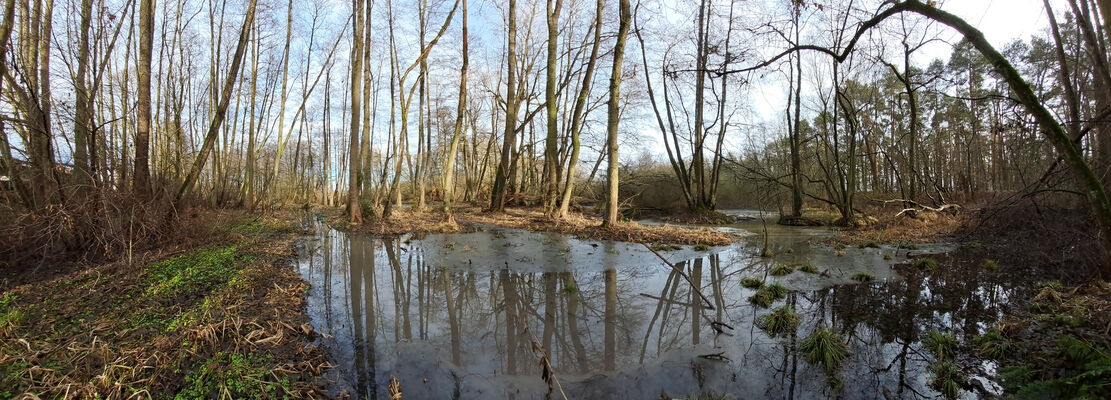 Žďár nad Orlicí, 9.1.2025
Starý tok Tiché Orlice u Tůmovky.
Klíčová slova: Žďár nad Orlicí Tichá Orlice Tůmovka