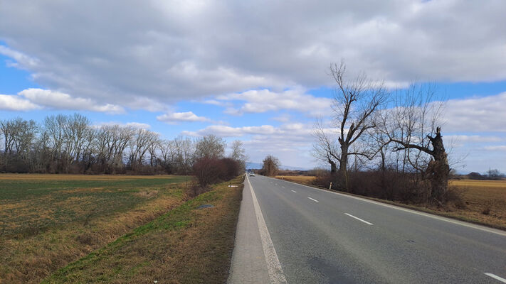 Michalovce, 15.2.2025
Červený Majer.
Klíčová slova: Michalovce Červený majer