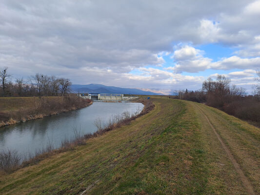 Zalužice, 15.2.2025
Zalužice - Zalužický kanál.
Klíčová slova: Zalužice Zalužický kanál