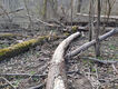 Název souboru=20250328_100524.jpeg
Velikost souboru=2364KB
Rozměry=3200x2400
Datum přidání=25.10.2025 20250328_100524.jpeg