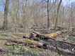 Název souboru=20250328_101856.jpeg
Velikost souboru=2918KB
Rozměry=3200x2400
Datum přidání=25.10.2025 20250328_101856.jpeg