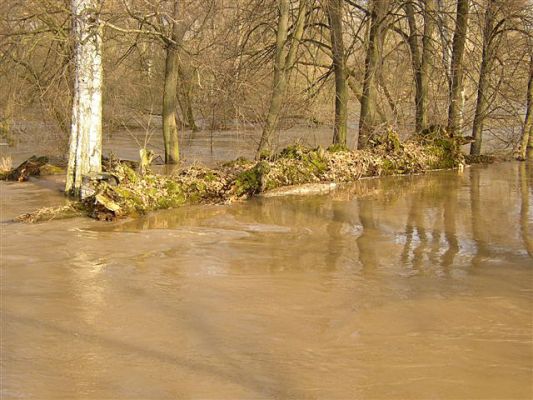 Povodeň na Labi u obce Borek, březen 2006
Mohutný kmen topolu se rázem ocitl o kilometr dále po proudu.
Mots-clés: povodeň Borek